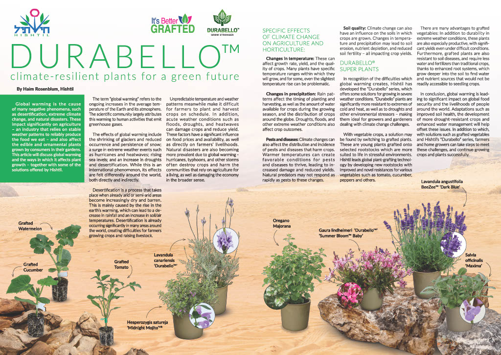 15 Best Climate-Resilient Perennials for 2026: Drought-Tolerant Plants That Thrive in Extreme Weather