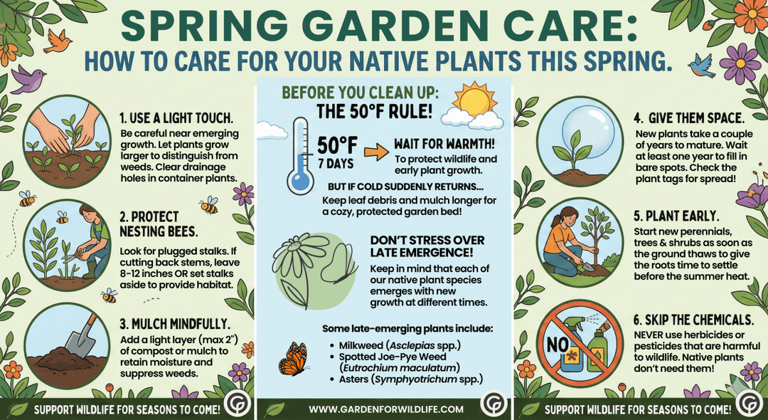 Spring Perennial Care Checklist 2026: Essential Tasks for Healthy Garden Perennials