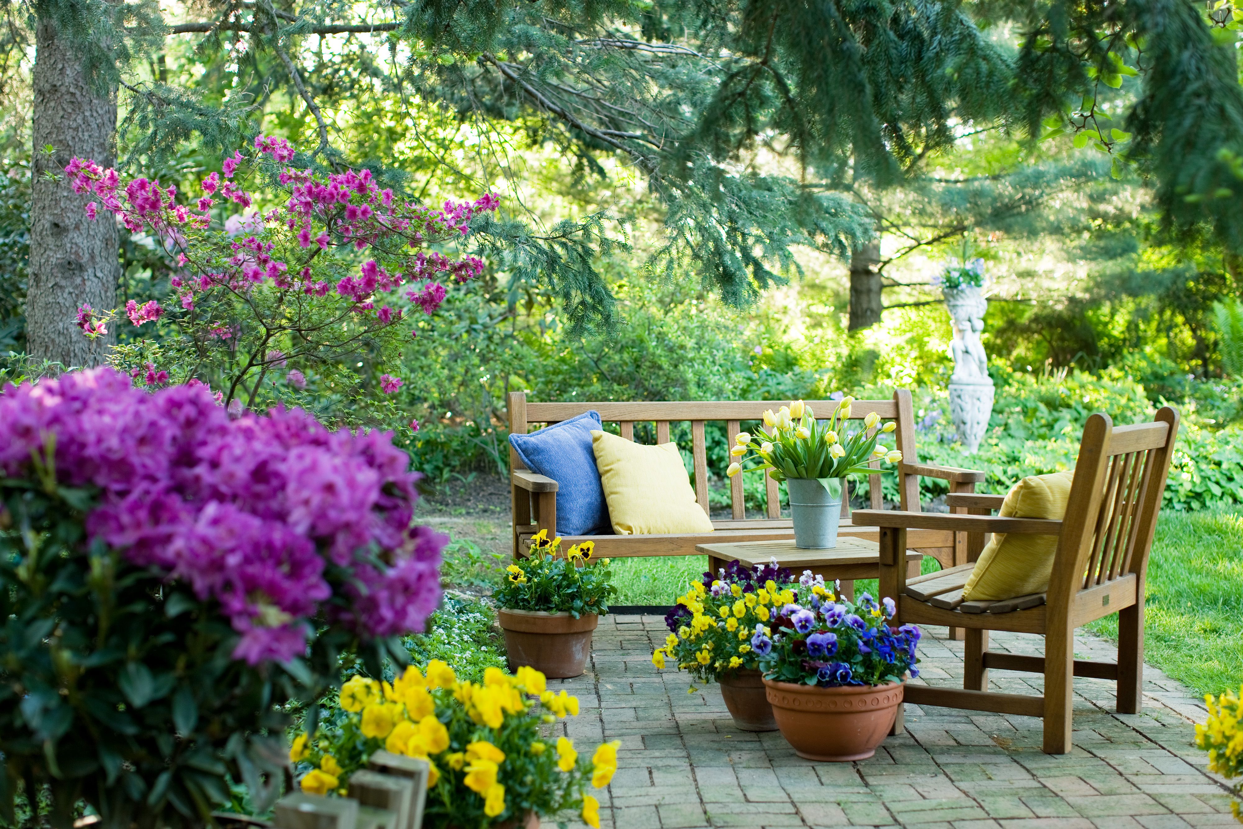 Spring Perennial Care Guide 2026: Essential Tasks for Healthy Garden Perennials This Season