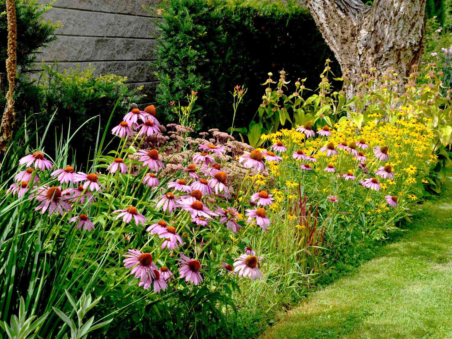 42 Drought-Tolerant Plants That Will Improve Your Home's Curb Appeal