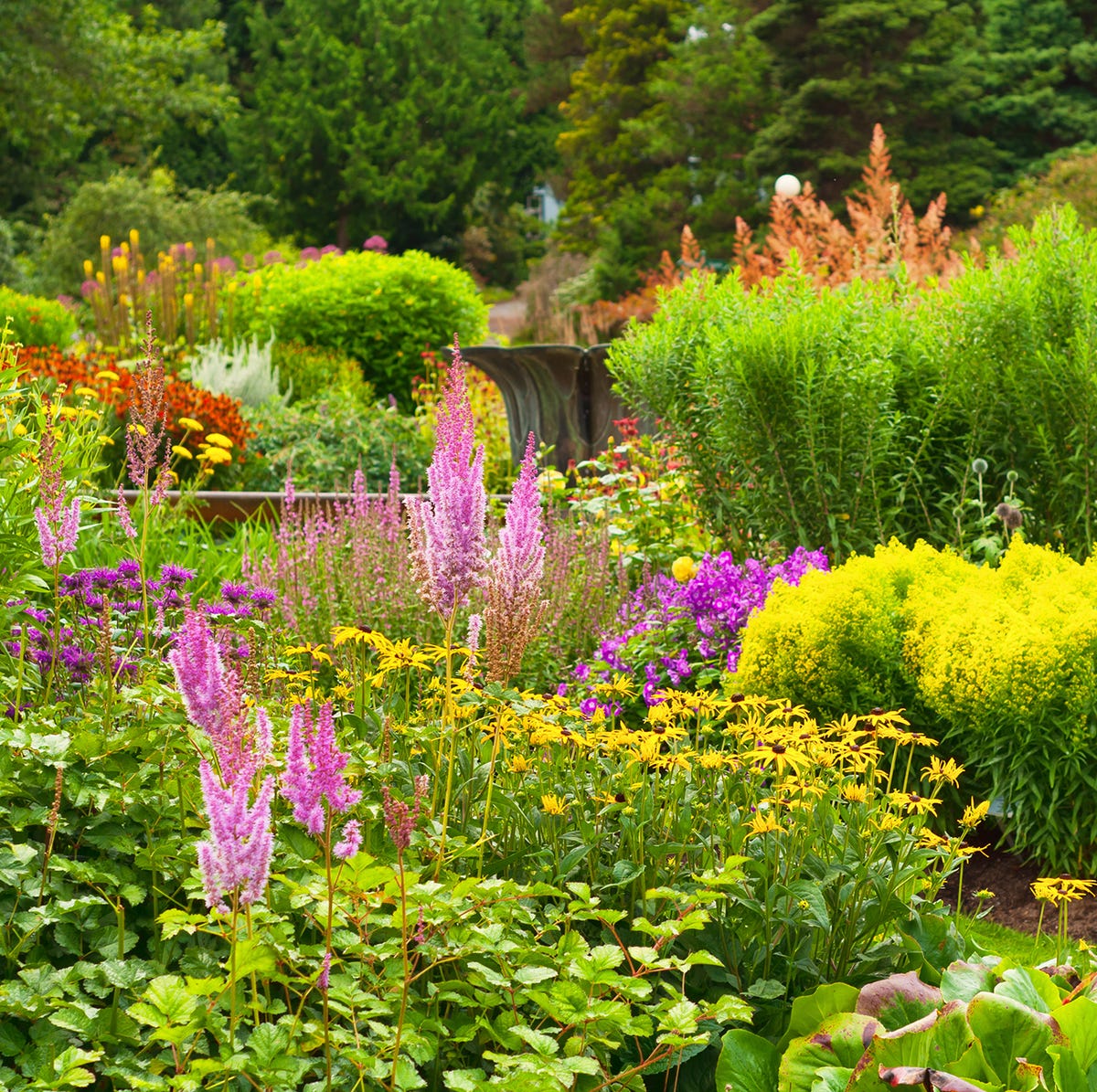 The Perennial Garden Trend