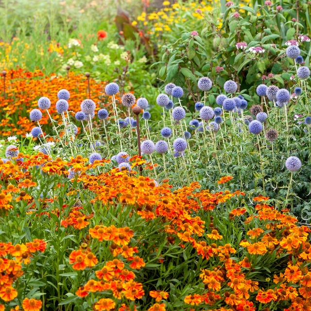 Perennial Garden Design Ideas