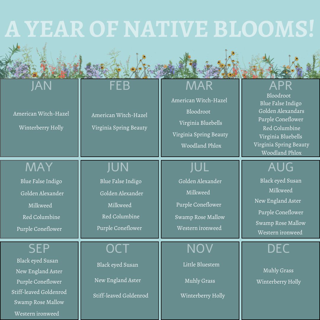 The Perennial Planting Calendar