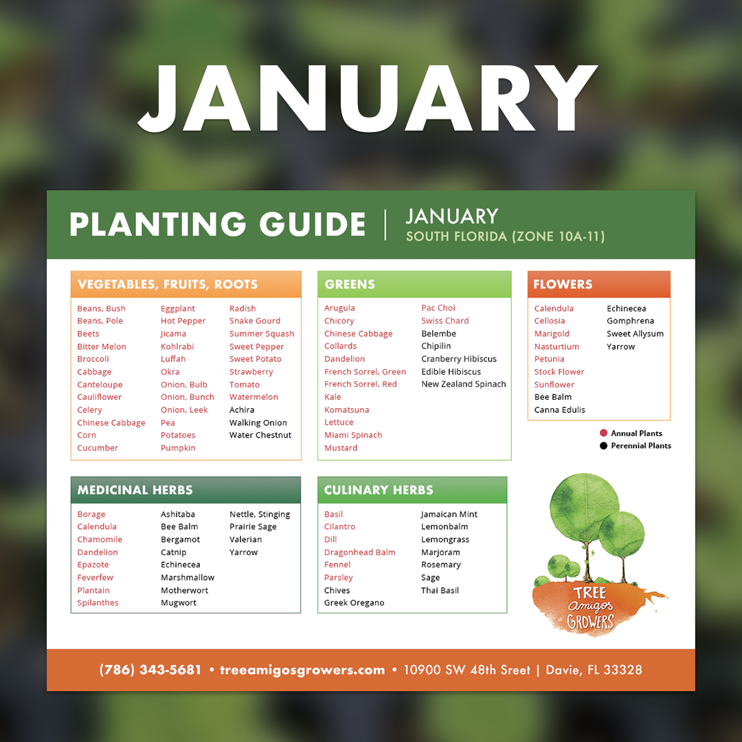 The Perennial Planting Calendar