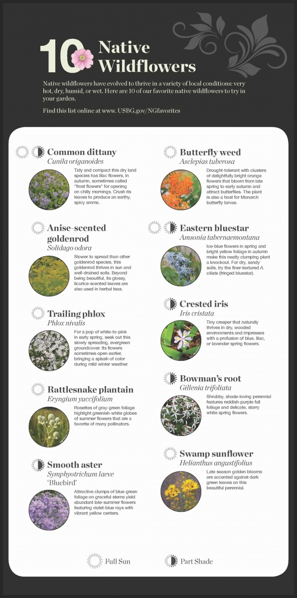 Perennial Plant Selection