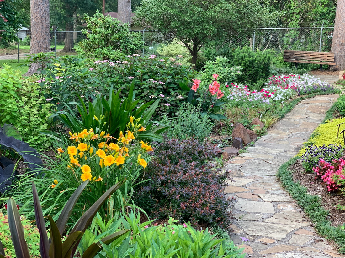 Best Low Maintenance Perennials for Sun and Shade in 2026