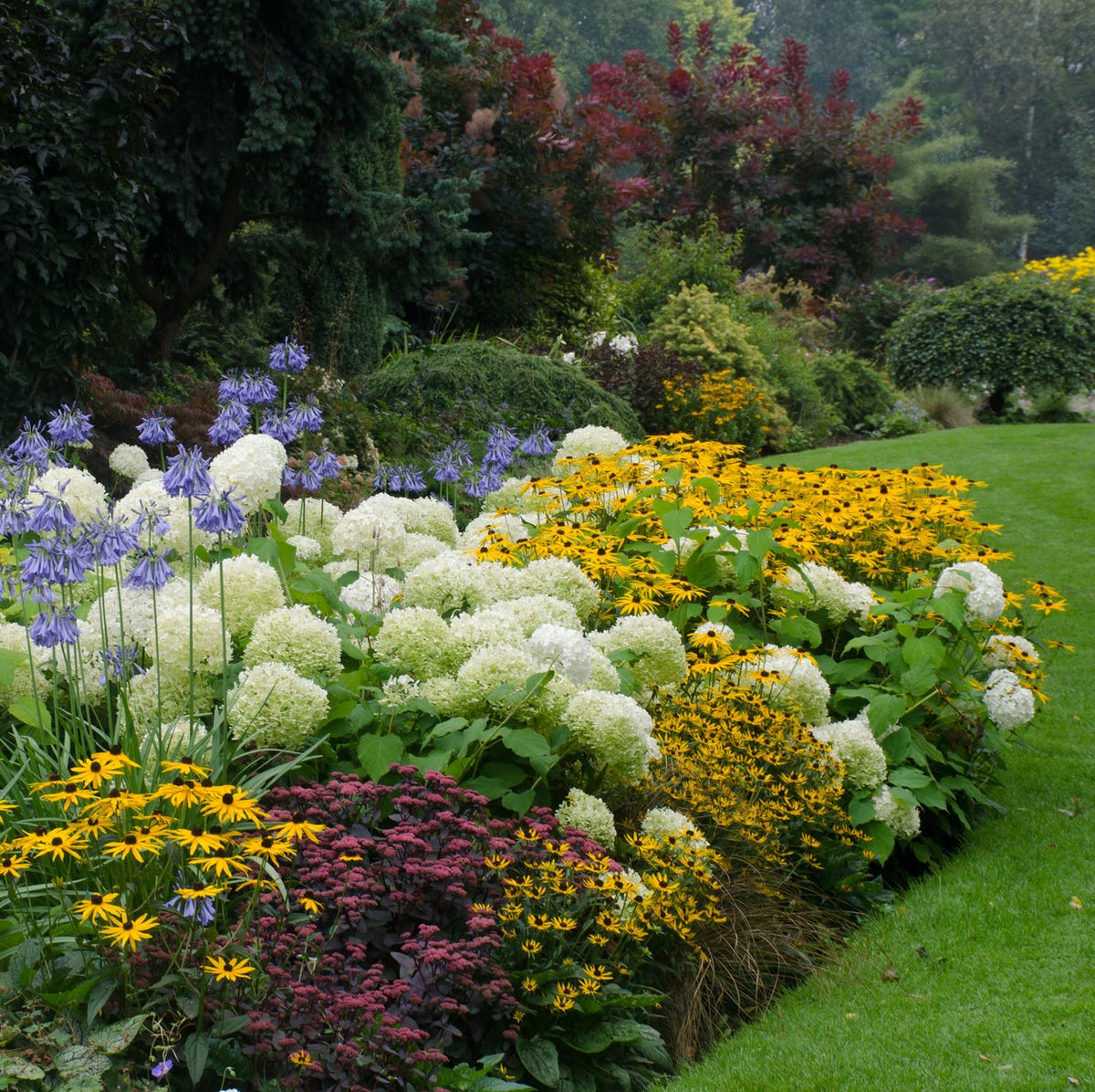 The Low-Maintenance Perennial Garden