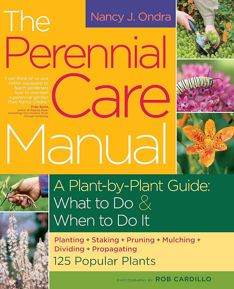 perennial care upgrade
