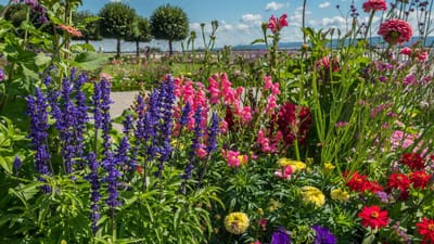 10 Low Maintenance Perennials for a Beautiful and Effortless Garden