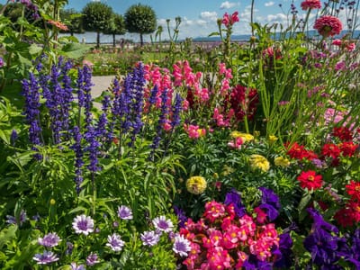 10 Low Maintenance Perennials for a Beautiful and Effortless Garden