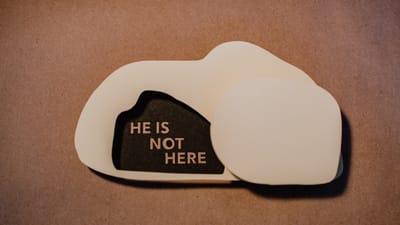 Are Easter Lilies Perennials? Unraveling the Mystery of this Classic Flower