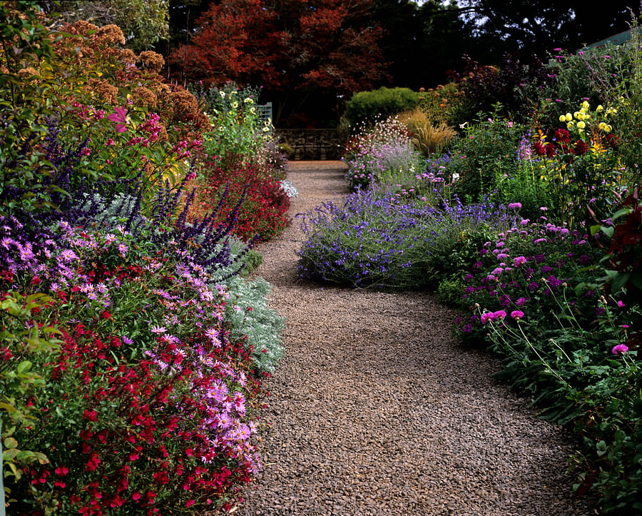Mixed Border Perennial Garden Design