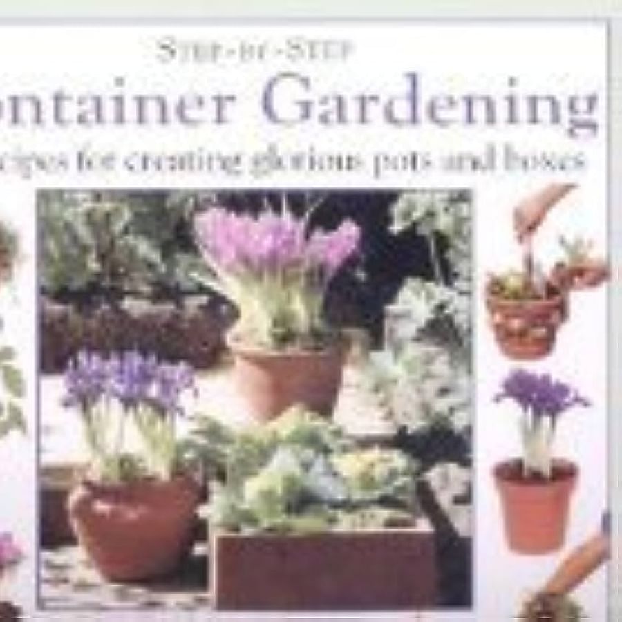 Step-by-step process of starting a container garden with perennials