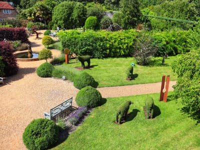 Creating a Shade-Loving Perennial Haven: Best Perennials for Shade Gardens