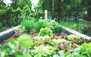 Designing a Perennial Landscape: Incorporating Basil and Other Herbs into Your Garden