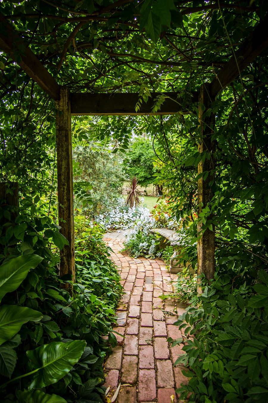 Lush perennial herb garden with various types of herbs including basil