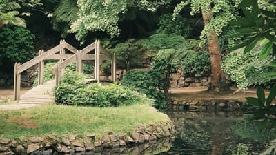 Hardy Perennial Flowers: The Top Choices for a Resilient and Beautiful Garden