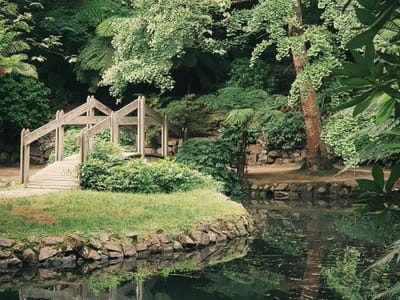 Hardy Perennial Flowers: The Top Choices for a Resilient and Beautiful Garden