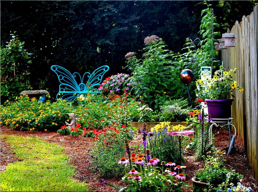 Illustrative layout of a butterfly garden with various perennials