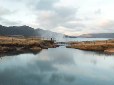 Shade Garden Gems: The Best Perennials for Shade to Create a Tranquil Space