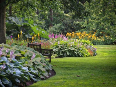 Small Garden Wonders: Top Perennial Plants for Limited Space Landscapes