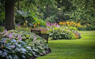 Small Garden Wonders: Top Perennial Plants for Limited Space Landscapes