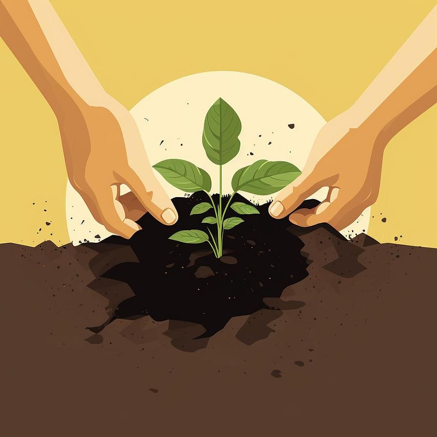 Hands placing a ground cover plant into a hole in the soil