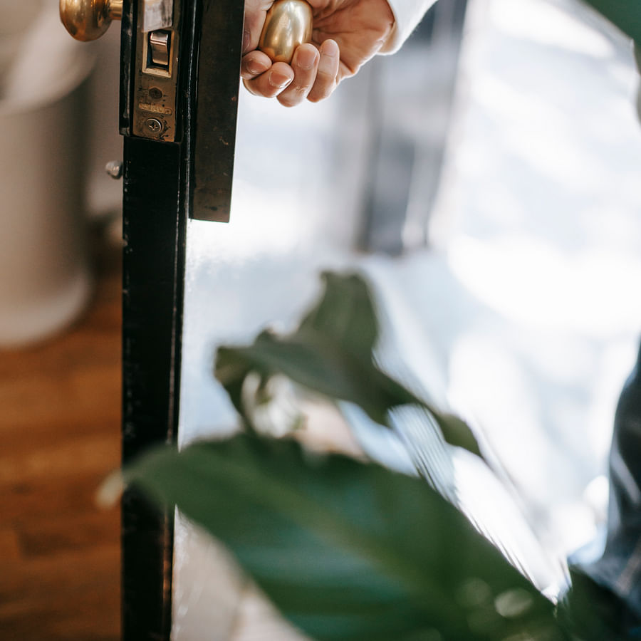 Gardener transplanting a bleeding heart plant in a garden