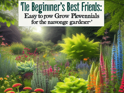 The Beginner's Best Friends: Easy to Grow Perennials for the Novice Gardener