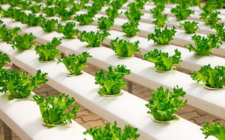 The Truth About Basil: Is it a Perennial or Annual Herb?