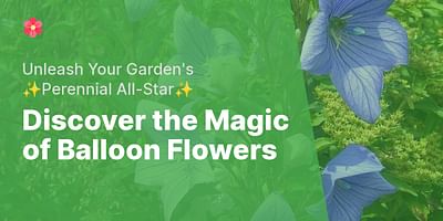 Discover the Magic of Balloon Flowers - Unleash Your Garden's ✨Perennial All-Star✨