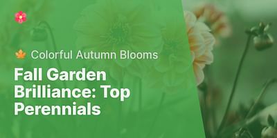 Fall Garden Brilliance: Top Perennials - 🍁 Colorful Autumn Blooms