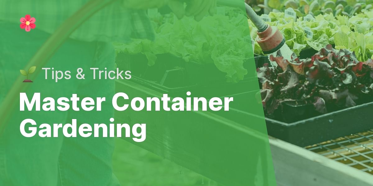 Container Gardening with Perennials: Tips and Tricks for Choosing and ...