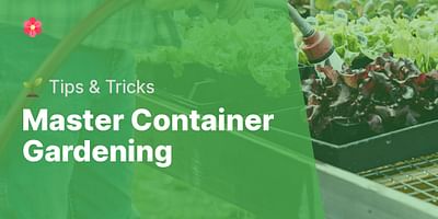 Master Container Gardening - 🌱 Tips & Tricks