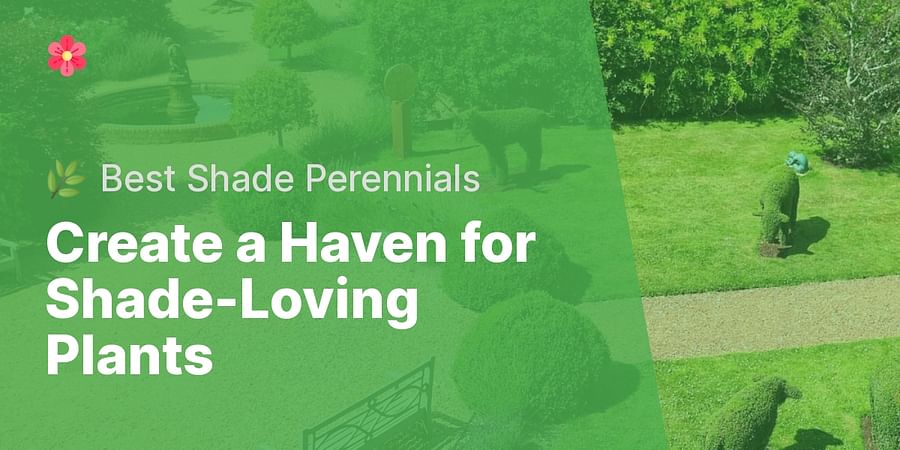 Create a Haven for Shade-Loving Plants - 🌿 Best Shade Perennials