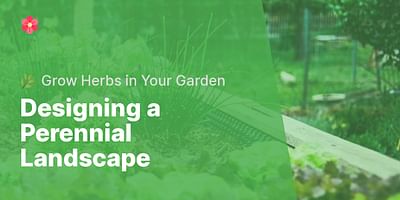Designing a Perennial Landscape - 🌿 Grow Herbs in Your Garden
