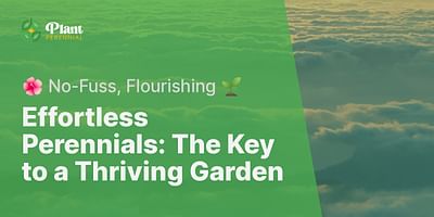 Effortless Perennials: The Key to a Thriving Garden - 🌺 No-Fuss, Flourishing 🌱