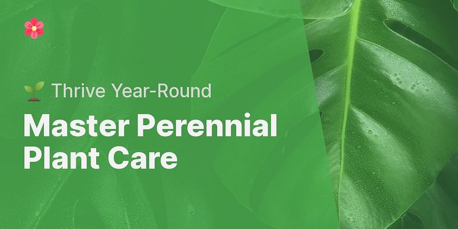 Master Perennial Plant Care - 🌱 Thrive Year-Round