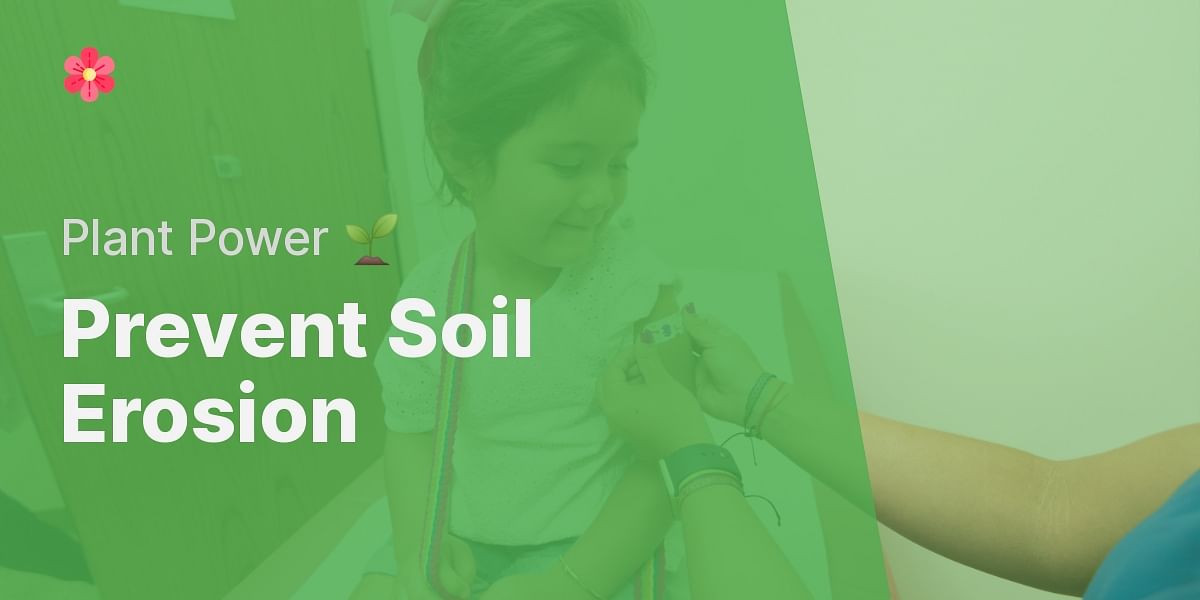 The Best Perennials for Erosion Control Stabilize Your Slopes and