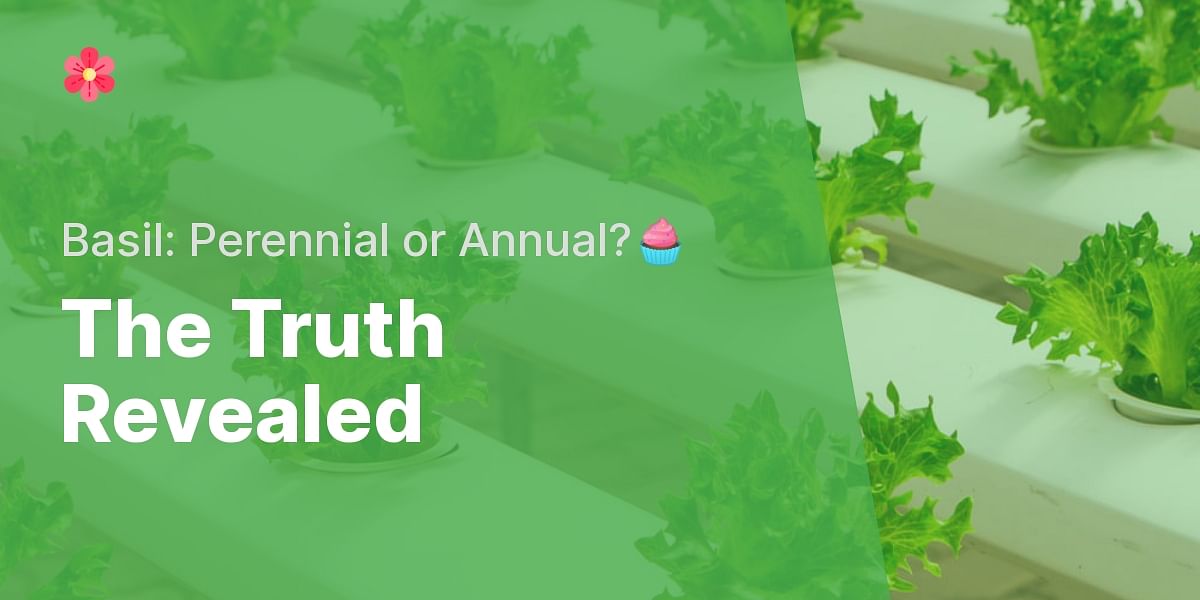 The Truth About Basil Is it a Perennial or Annual Herb?