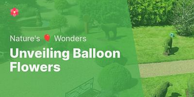 Unveiling Balloon Flowers - Nature's 🎈 Wonders