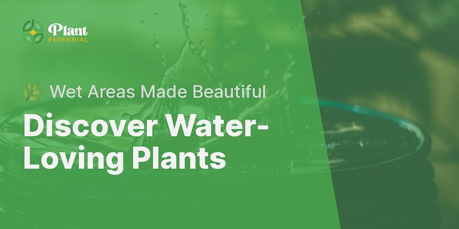 Discover Water-Loving Plants - 🌿 Wet Areas Made Beautiful