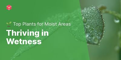 Thriving in Wetness - 🌱 Top Plants for Moist Areas