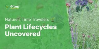 Plant Lifecycles Uncovered - Nature's Time Travelers 🌱