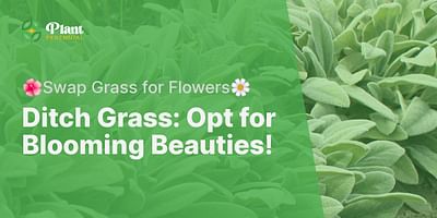 Ditch Grass: Opt for Blooming Beauties! - 🌺Swap Grass for Flowers🌼