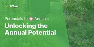 Unlocking the Annual Potential - Perennials to 🌸 Annuals
