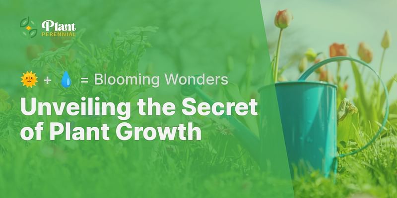 Unveiling the Secret of Plant Growth - 🌞 + 💧 = Blooming Wonders