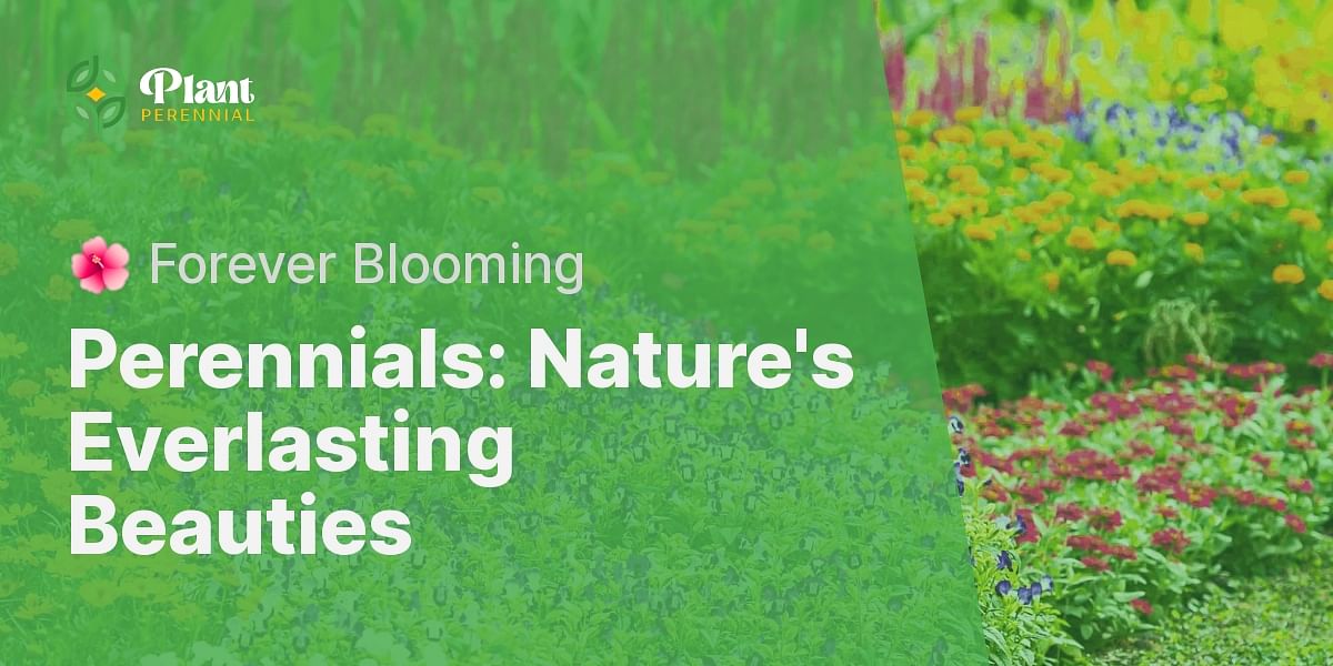 Do perennials come back every year?