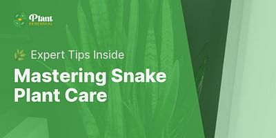 Mastering Snake Plant Care - 🌿 Expert Tips Inside
