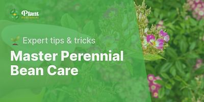 Master Perennial Bean Care - 🌱 Expert tips & tricks